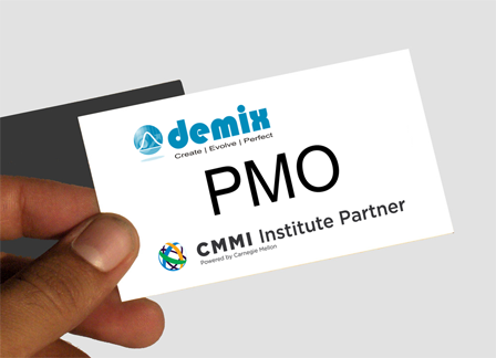 CMMI pmo small