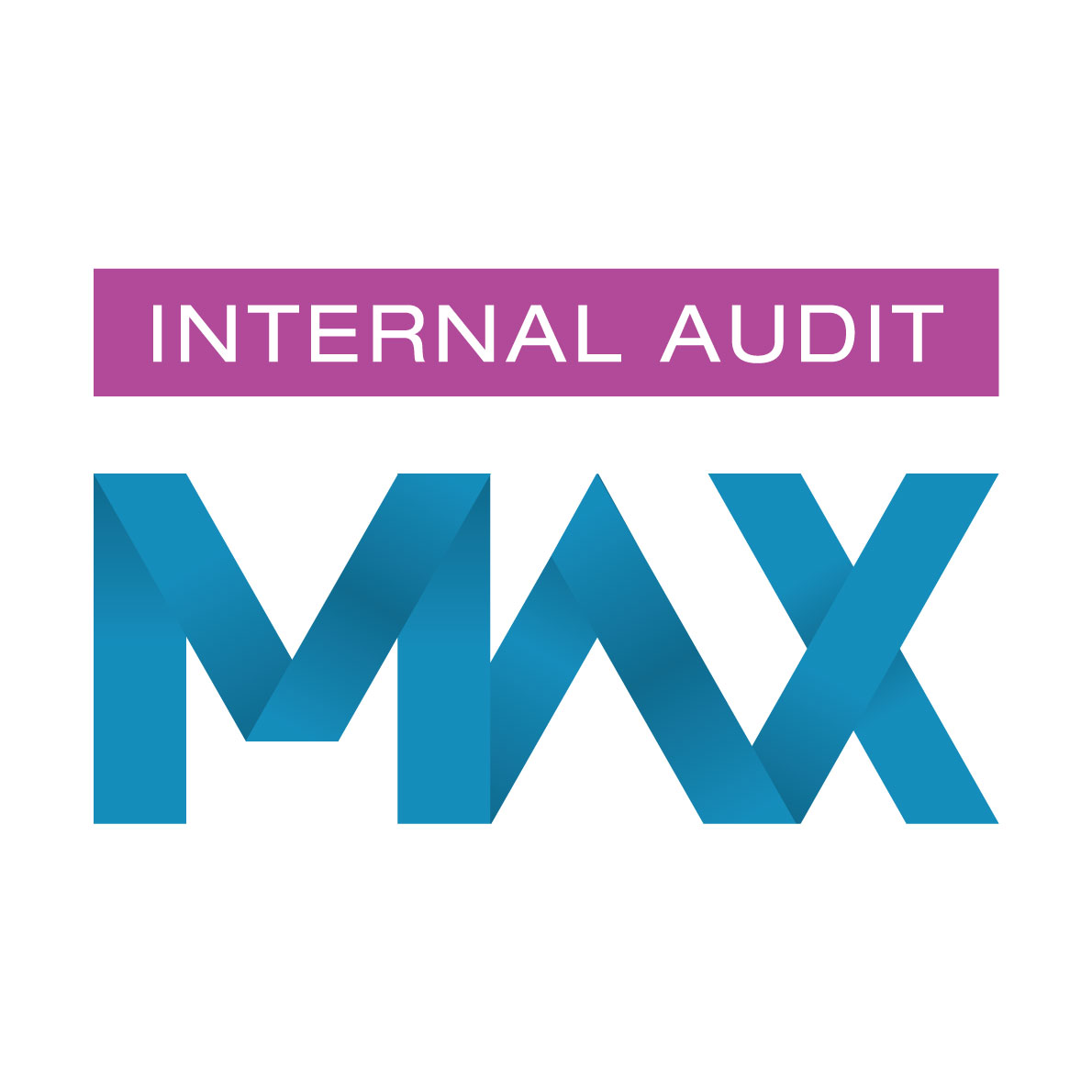 MAX MODEL LOGOS INTERNAL AUDIT